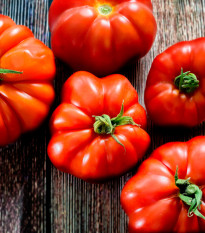 Paradajka Marmande - Solanum lycopersicum - semená paradajky - 20 ks