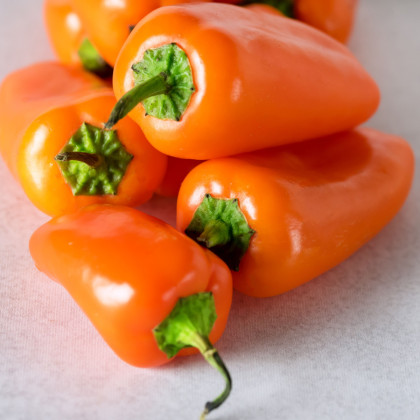 Paprika Snacking Orange - Capsicum annuum - semená papriky - 5 ks