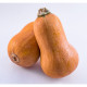 Tekvica maslová Honeynut - Cucurbita moschata - semená tekvica - 6 ks ​