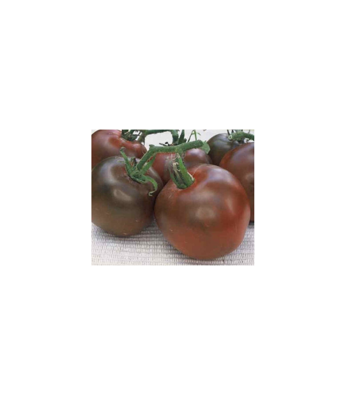 Paradajka čierna - semená paradajky - 6 ks
