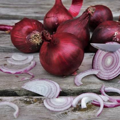 Cibuľa sadzačka Romy jarná - Allium cepa - cibuľky sadzačky - 250 g