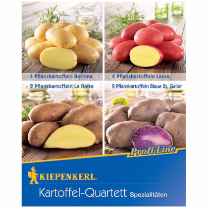 Sadbové zemiaky - 4 druhy - Solanum tuberosum - 12 ks