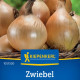 Cibuľa Exhibition - Allium cepa - semená cibule - 100 ks