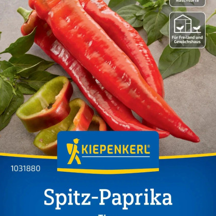 Paprika Thor F1 - Capsicum annuum - semená papriky - 7 ks