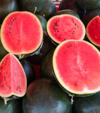 Melón vodný Sugar baby - Citrullus lanatus - semená melónu - 7 ks