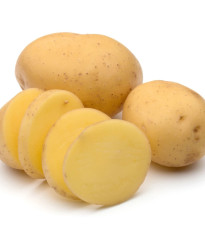 Sadbové zemiaky Otolia - Solanum tuberosum - 10 ks