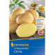 Sadbové zemiaky Otolia - Solanum tuberosum - 10 ks