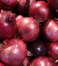 Cibuľa sadzačka Piroska - Allium cepa - cibuľky - 250 g