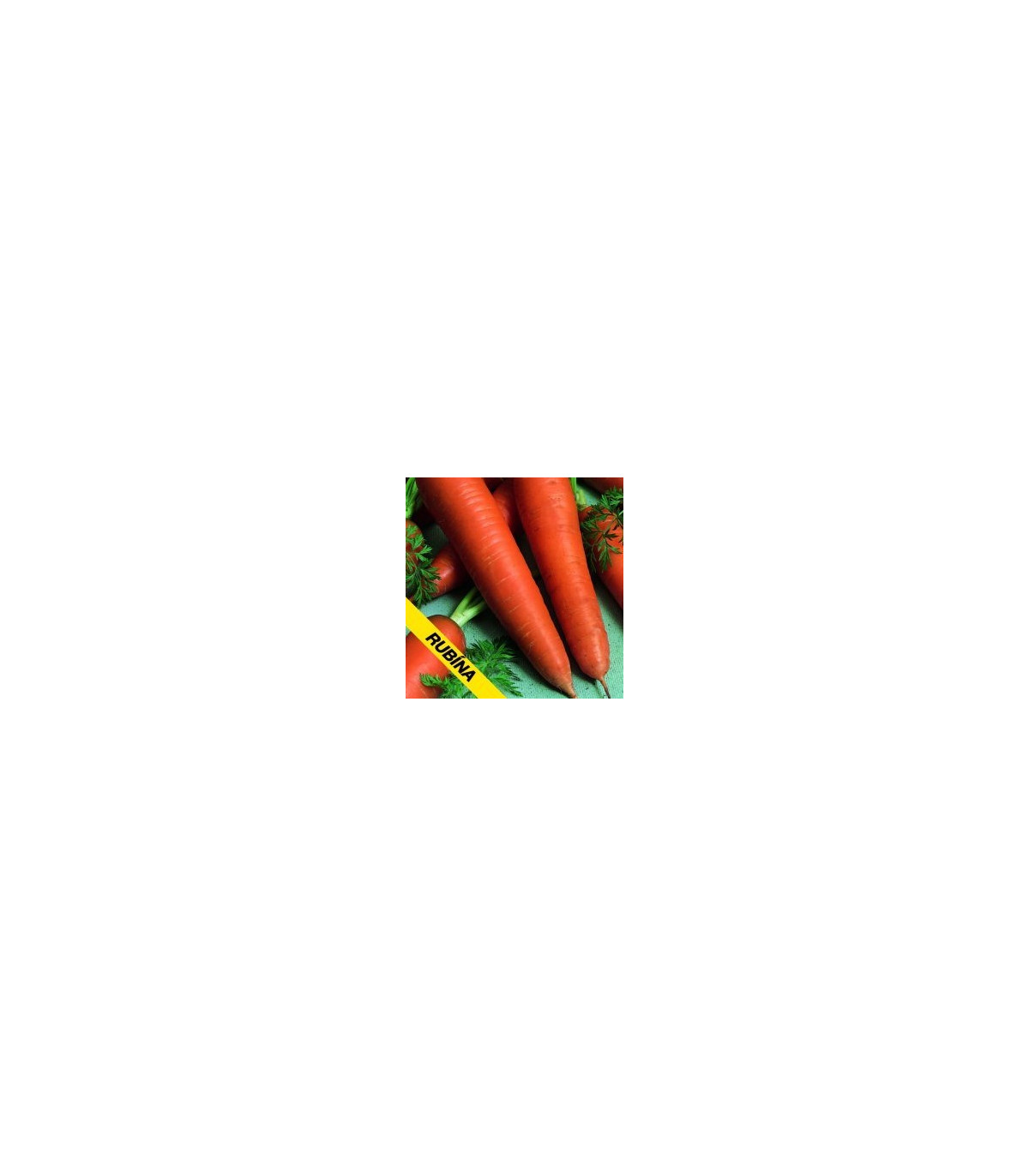 Mrkva Rubina - Daucus carota - semená mrkvy - 1 g