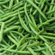 Fazuľa kríčková Saxa - Phaseolus vulgaris - semená fazule - 20 ks