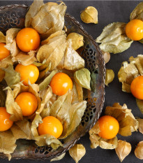 Machovka peruánska - Physalis peruviana - semená machovky - 10 ks