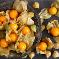 Machovka peruánska - Physalis peruviana - semená machovky - 10 ks