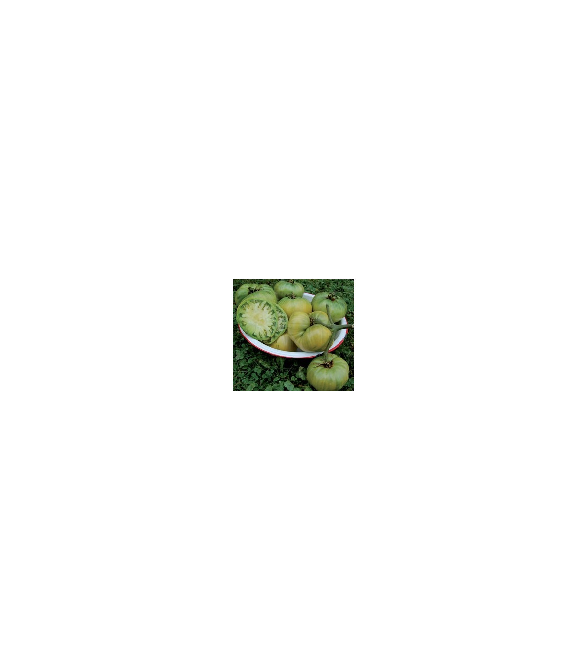 Paradajka Teta - Lycopersicon esculentum - semená paradajky - 6 ks