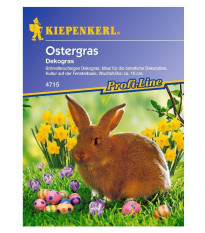 Veľkonočná tráva - Kiepenkerl - 45 g