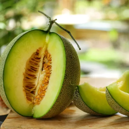 Melón galia Exelor F1 - Cucumis melo - semená melónu - 5 ks