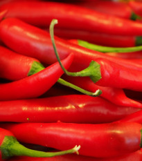 Chilli Aji Crystal - Capsicum baccatum - semená chilli - 7 ks