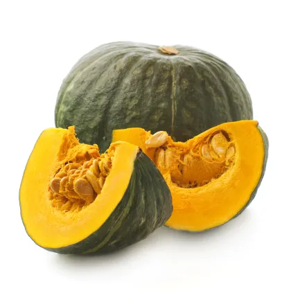 BIO Tekvica Zelené Hokkaido - Cucurbita maxima - bio semená tekvica - 7 ks