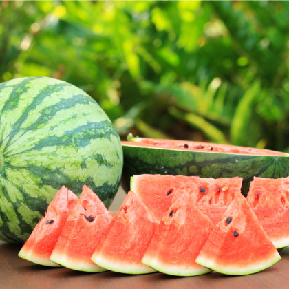 BIO melón vodový Sugar baby - Citrullus lanatus - bio semená melóna - 6 ks