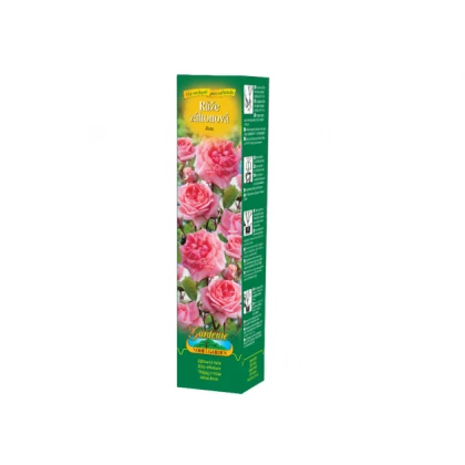 Ruža záhonová tmavoružová - voľnokorenné sadenice ruží - 1 ks