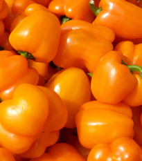 Paprika Snack Orange - Capsicum annuum - semená paprík - 6 ks