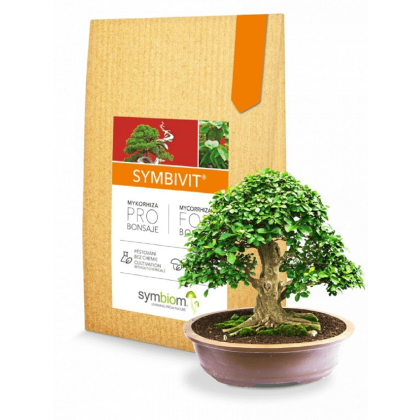 Symbivit Bonsai - mykoríza pre bonsaje - 150 g