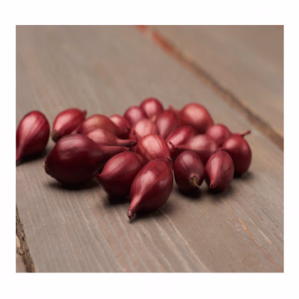 Cibuľa sadzačka ozimná Rolein - Allium cepa - cibuľky - 500 g