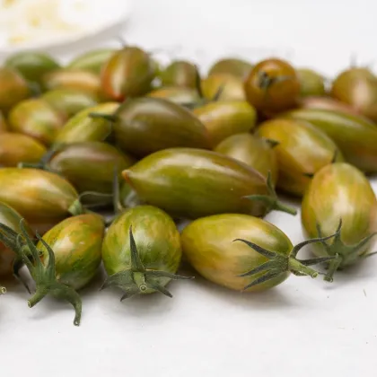 Paradajka Artisan Green Tiger - Solanum lycopersicum - semená paradajky - 5 ks