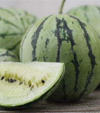 Vodný Melón Saskatchewan - Citrullus lanatus - semená melónu - 6 ks