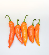 Chilli Aji Amarillo - Capsicum annuum - semená chilli - 7ks