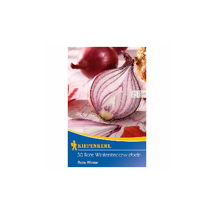 Cibuľa sadzačka zimná Rote Winter - Allium cepa - cibuľky - 50 ks