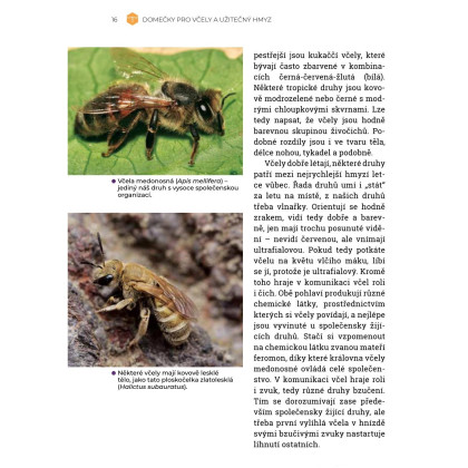 Domčeky pre včely a užitočný hmyz - kniha - 1 ks