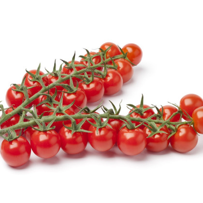 Paradajka Gourmelito F1 - Solanum lycopersicum - semená paradajky - 6 ks