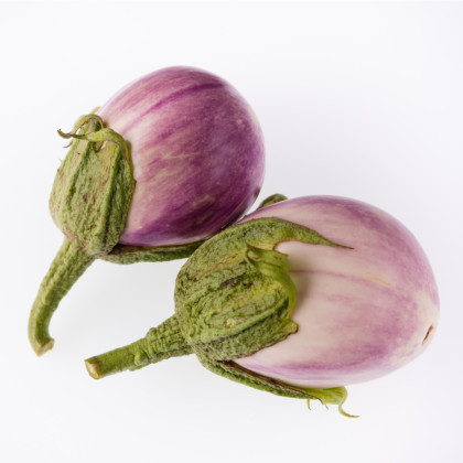 Baklažán Rosa Bianca - Solanum melongena - semená baklažánu - 6 ks