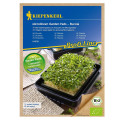 Mikrozelenina - microgreen - náhradné pláty bio rukoly - 3 ks