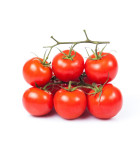 Kríčkové paradajky